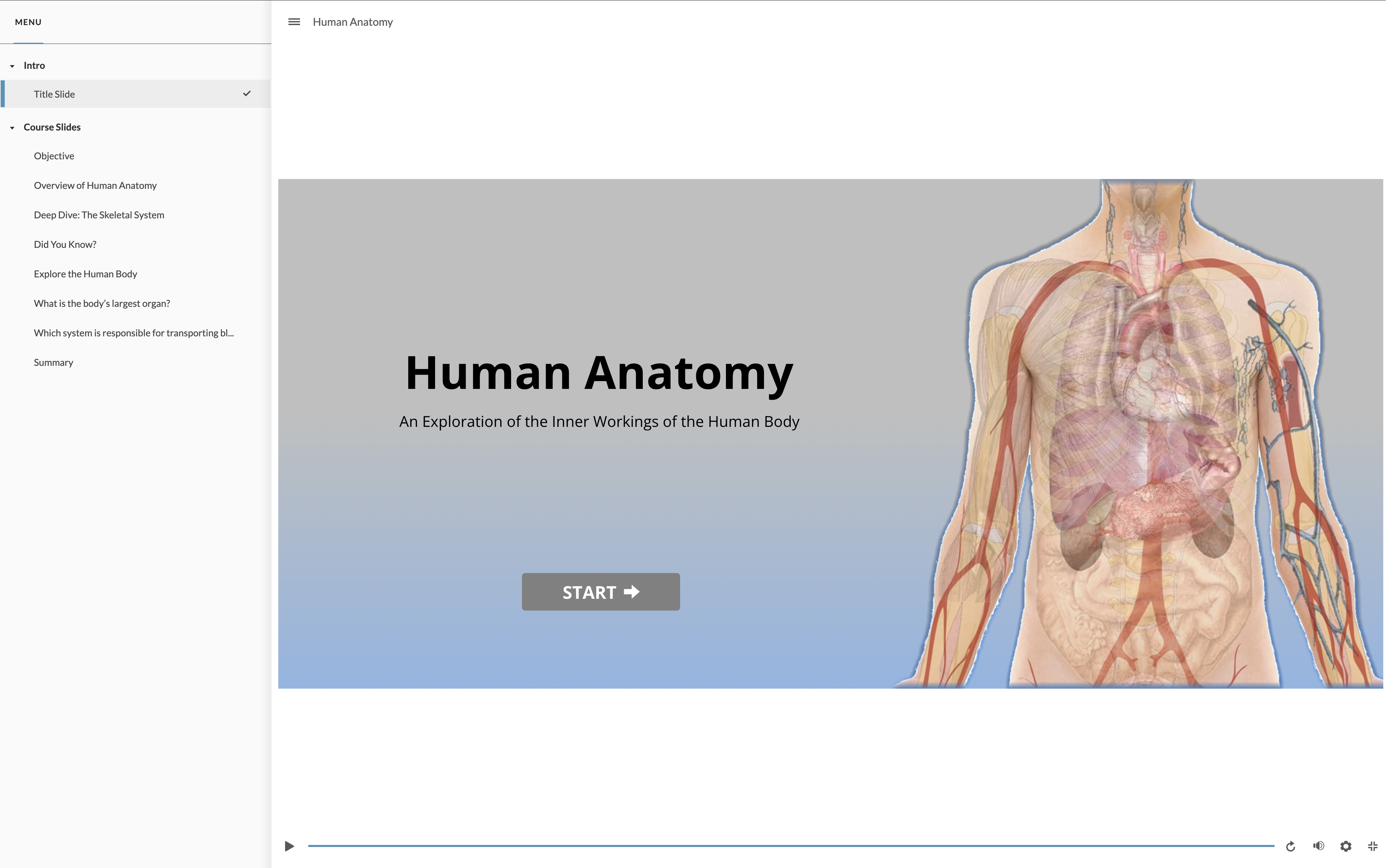 Anatomy
